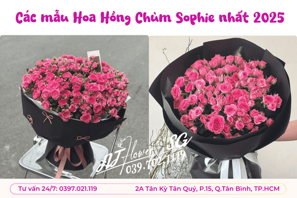 Hoa Hồng Chùm Sophie